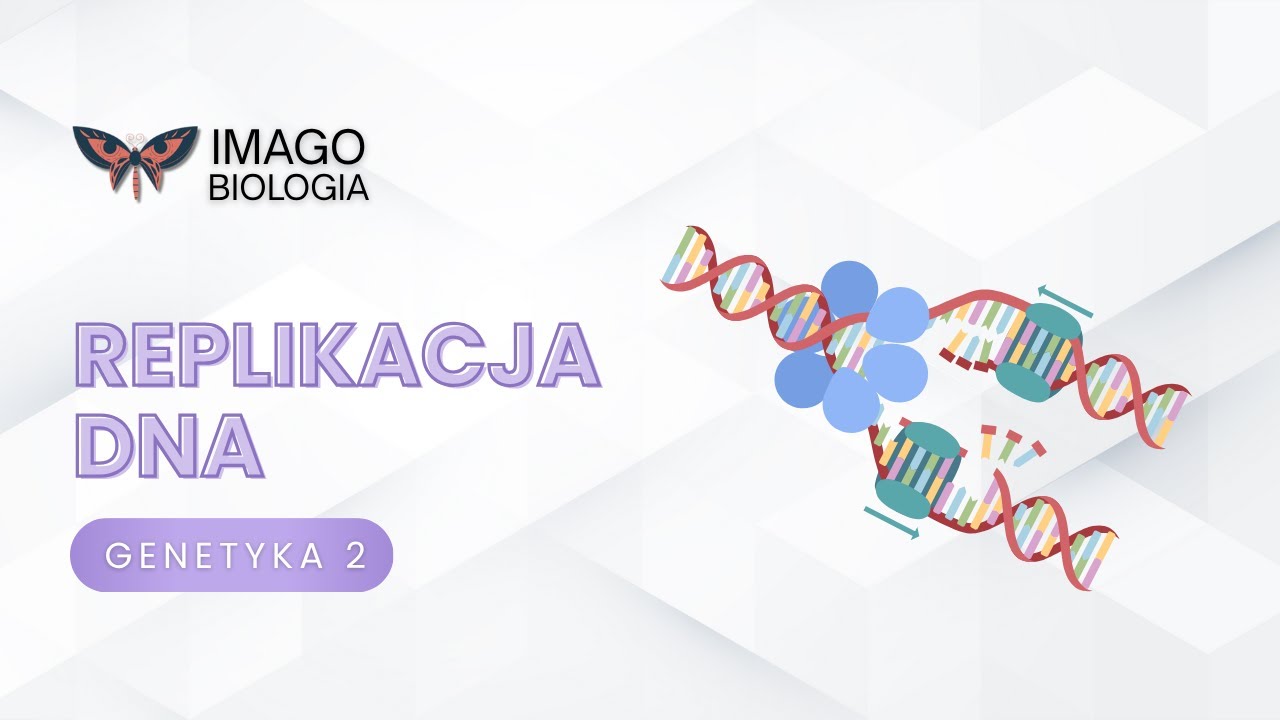 Replikacja DNA