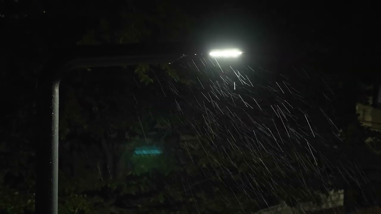 Calm Rain at Nigh for Sleeping (10 Hours)