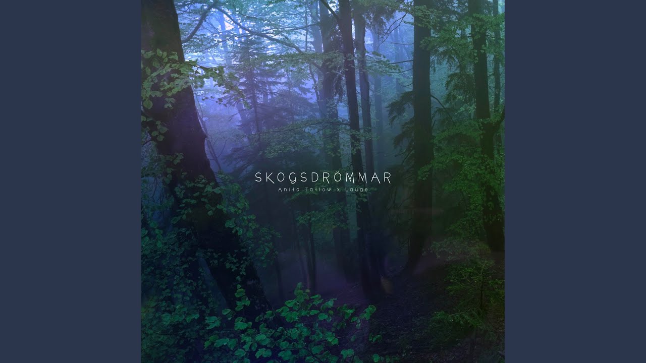 Skogsdrömmar