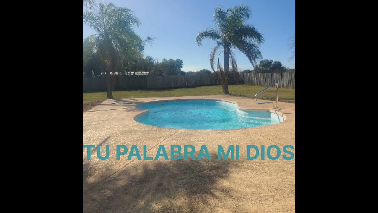 SALSA CRISTIANA TU PALABRA MI DIOS 