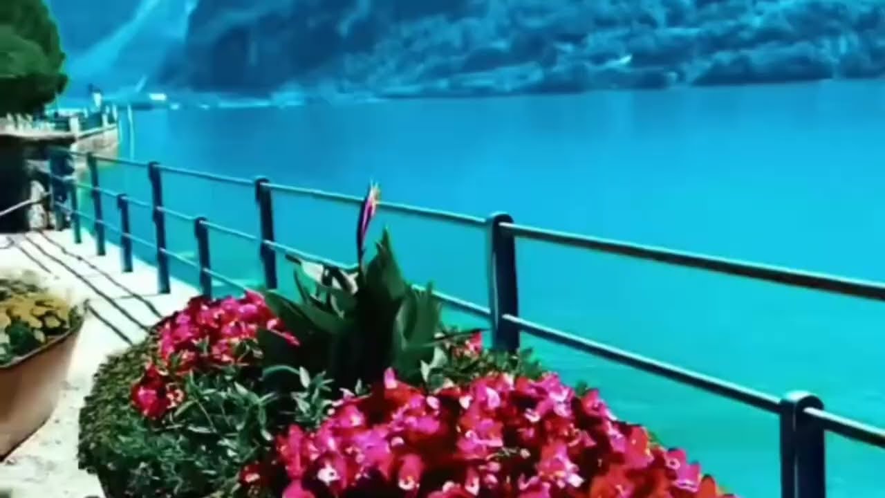 Lindas paisagens 
