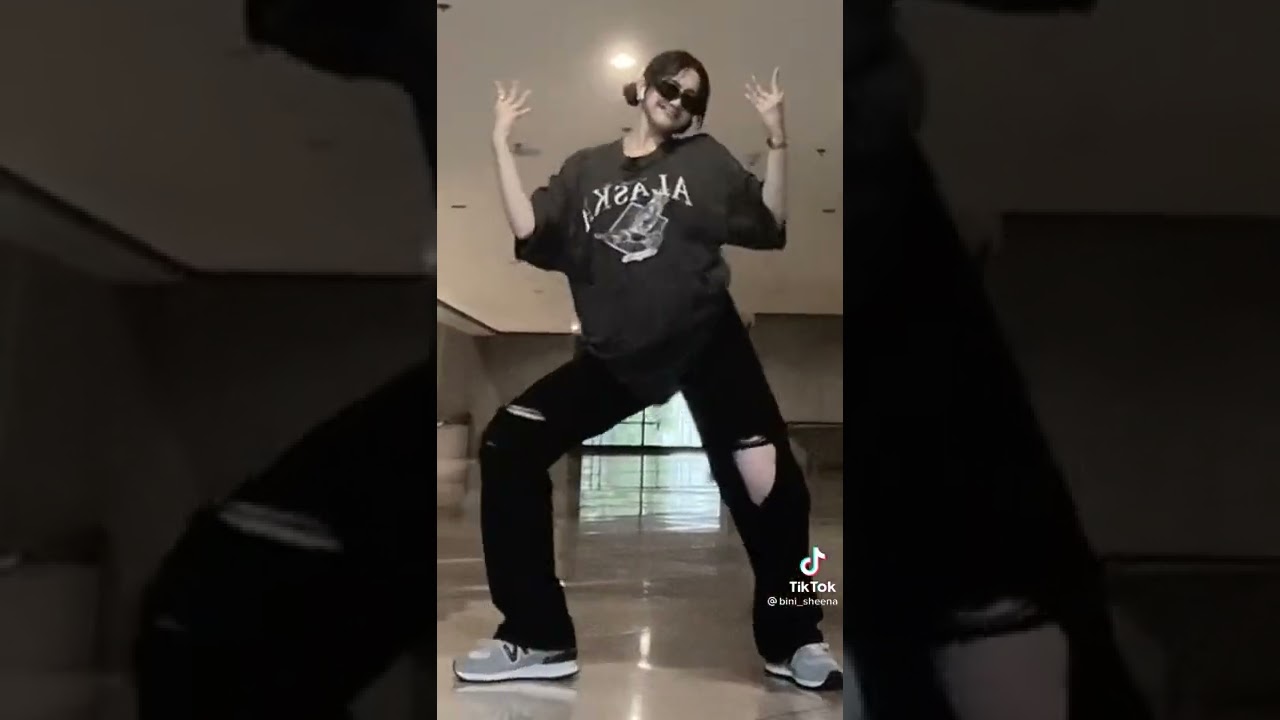 Zoom Challenge Part 2 TikTok New dance challenge