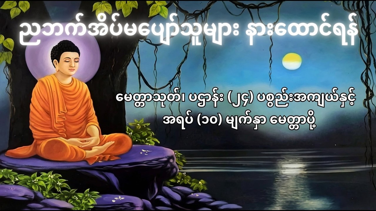 ညဘက်အိပ်မပျော်ဘူးလား ဒီတရားနာယူကြည့်ပါ #ညဘက်ပူဇော်သင့်သောတရားတော် #ညပိုင်းမေတ္တာပို့များ #tayartaw