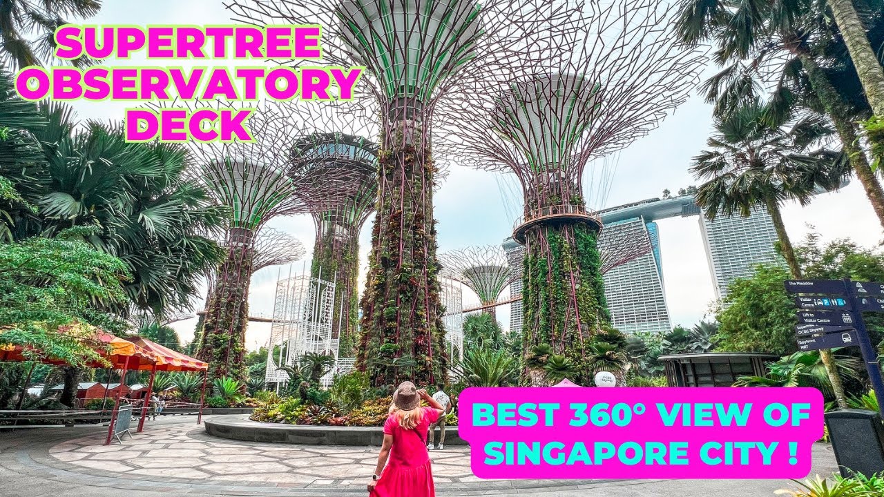 Supertree Observatory at Gardens By the Bay! | Breathtaking Singapore City View!