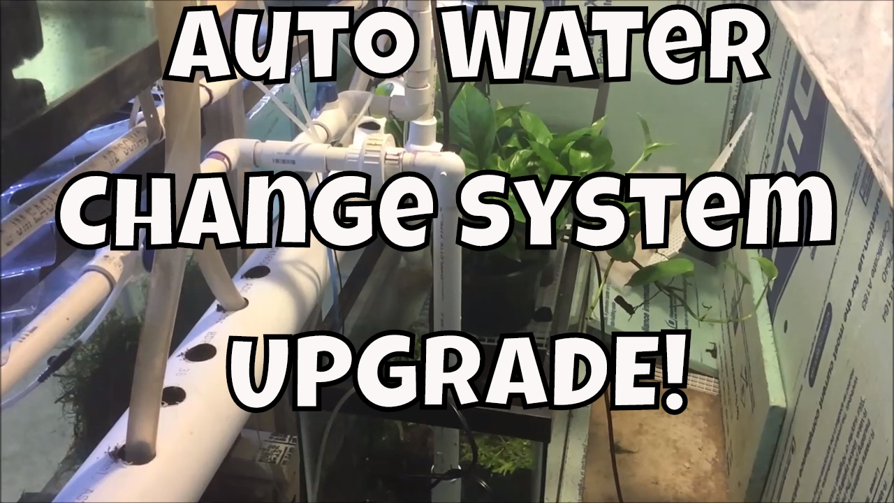 Auto Water Change for the Fish Room #1 Changing from a central sump system to an auto water change