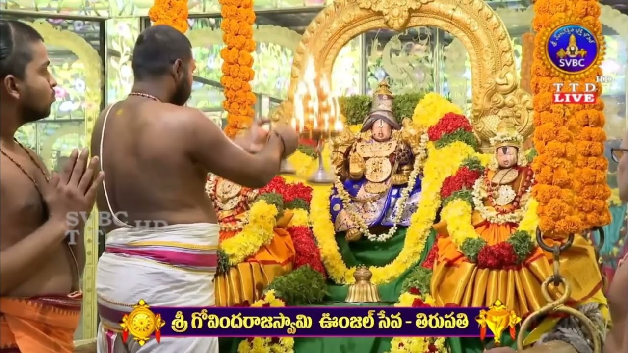 sri Govindharaja swamy unjal seva#tirupatibalaji