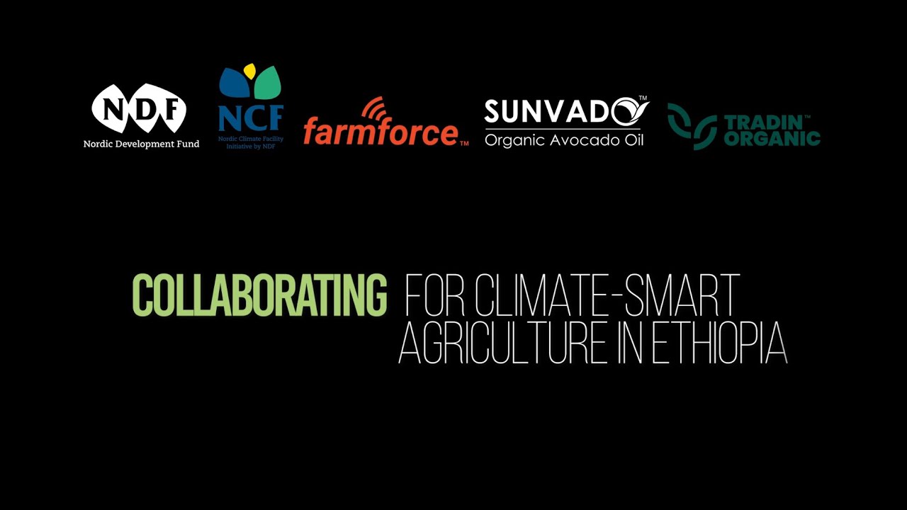 Collaborating for climate-smart agriculture in Ethiopia