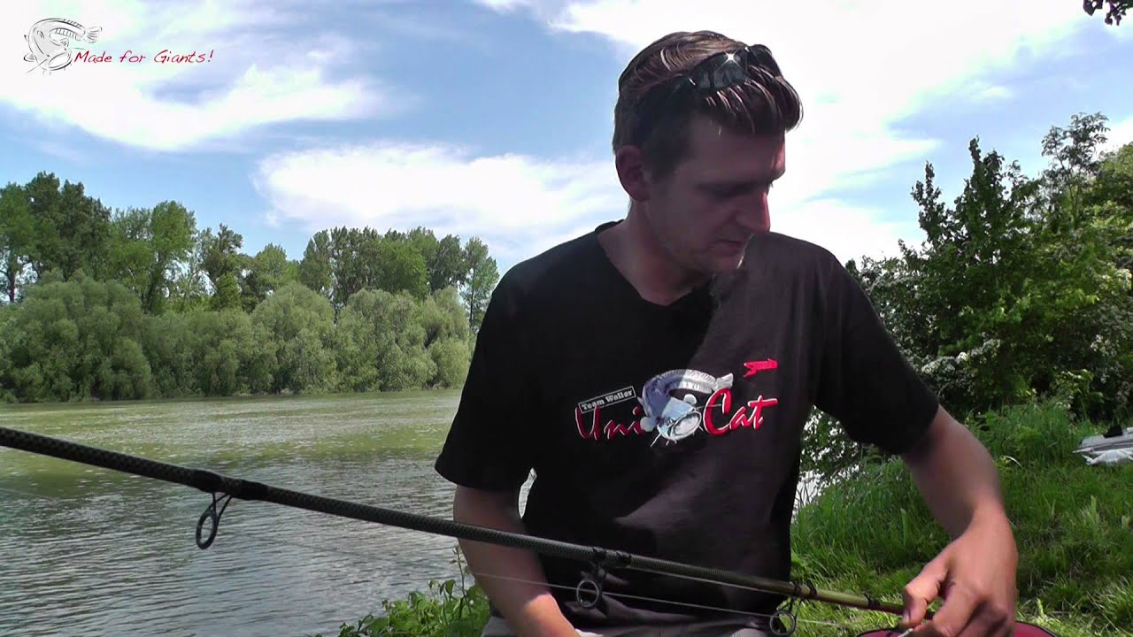 Waller Blinker Uni Cat/ Spinnfischen auf Wels/ Welsblinkern in Deutschland