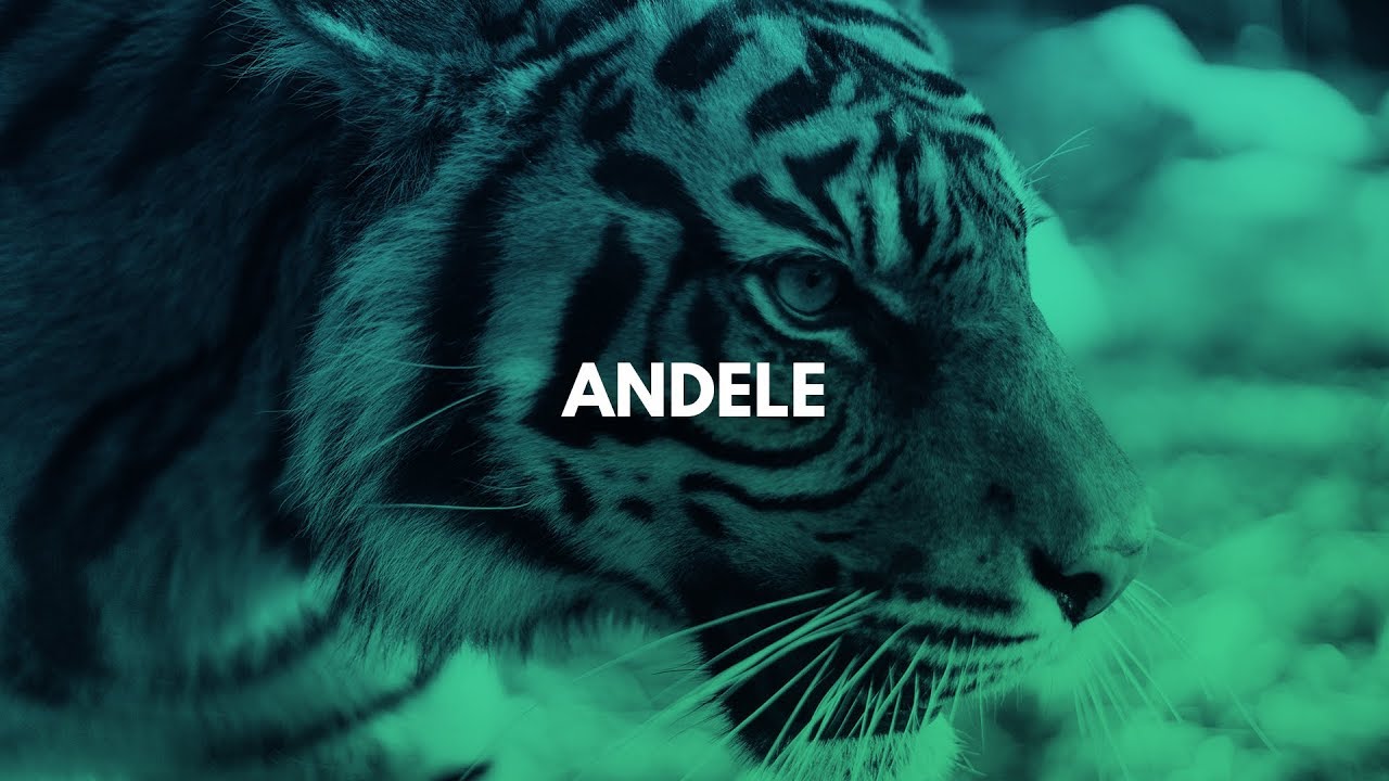 Afro Trap Instrumental 2019 ''Andele'' [Agressive Afrobeat Type Beat]