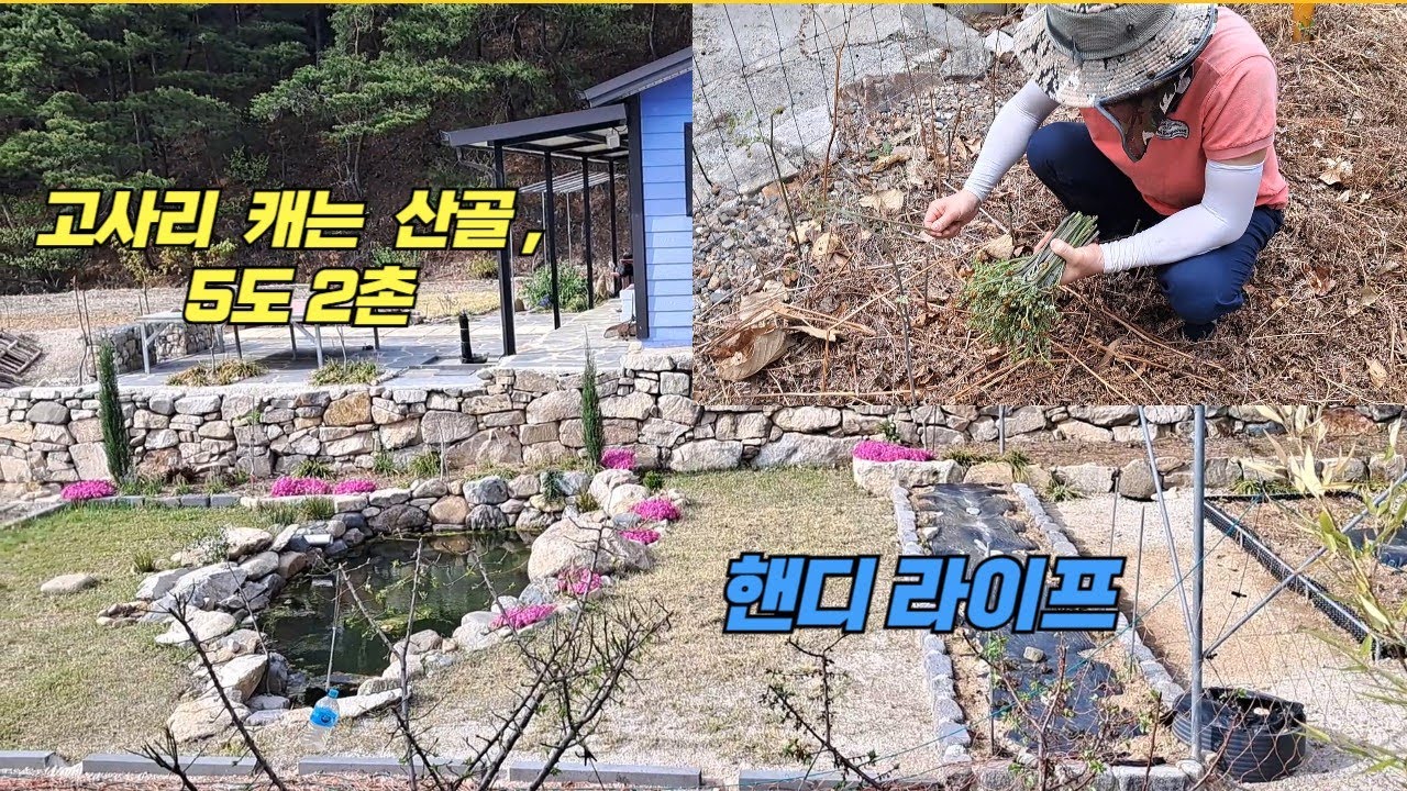 5도 2촌, 고사리 꺽는 산골 일상