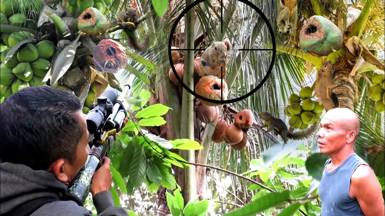 KELAPA PAK KOHAR HABIS DI LOBAGI TUPAI(HUNTING LONG RANGE)