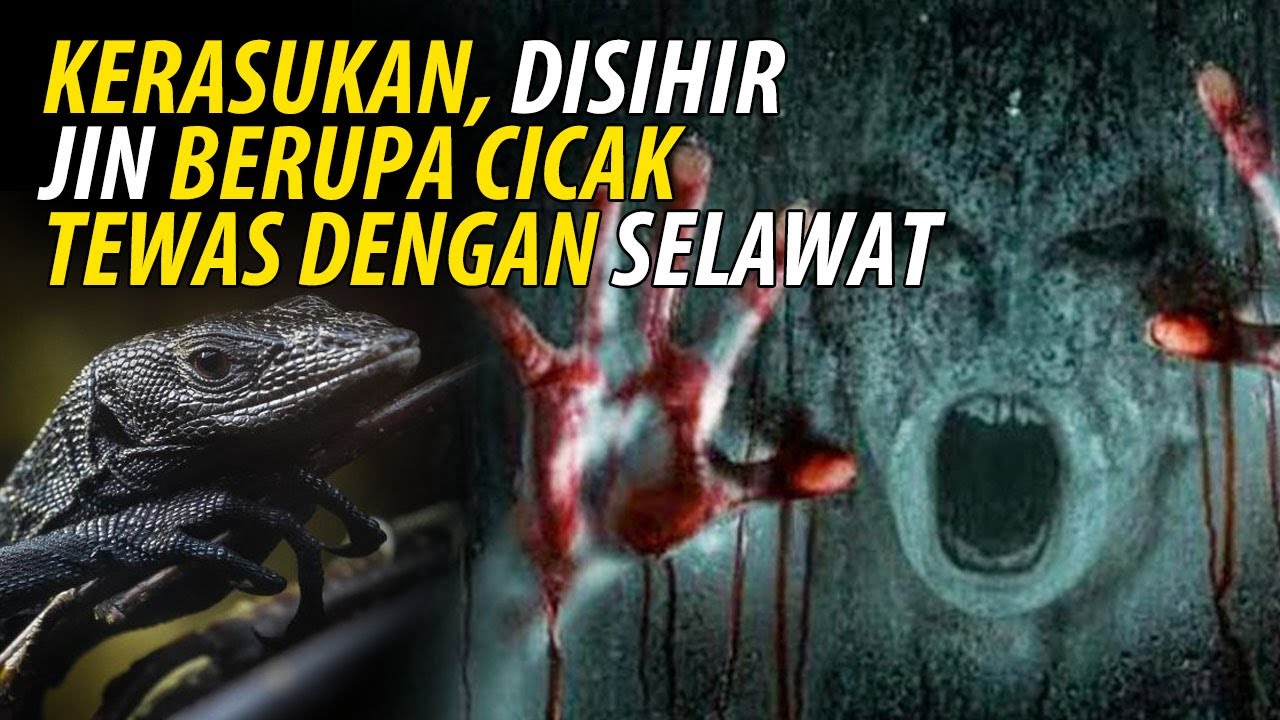 ( LIVE ) DISIHIR JIN BERUPA CICAK TEWAS DENGAN SELAWAT