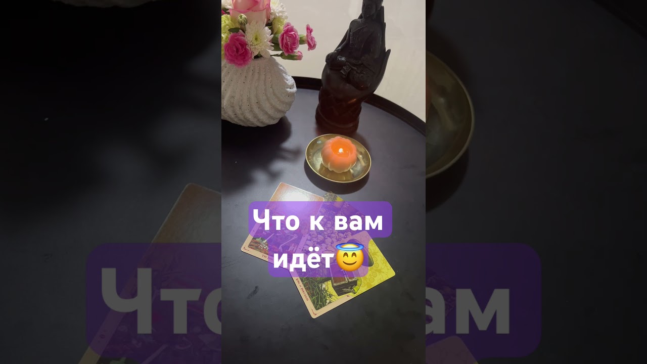 Что к вам идёт 