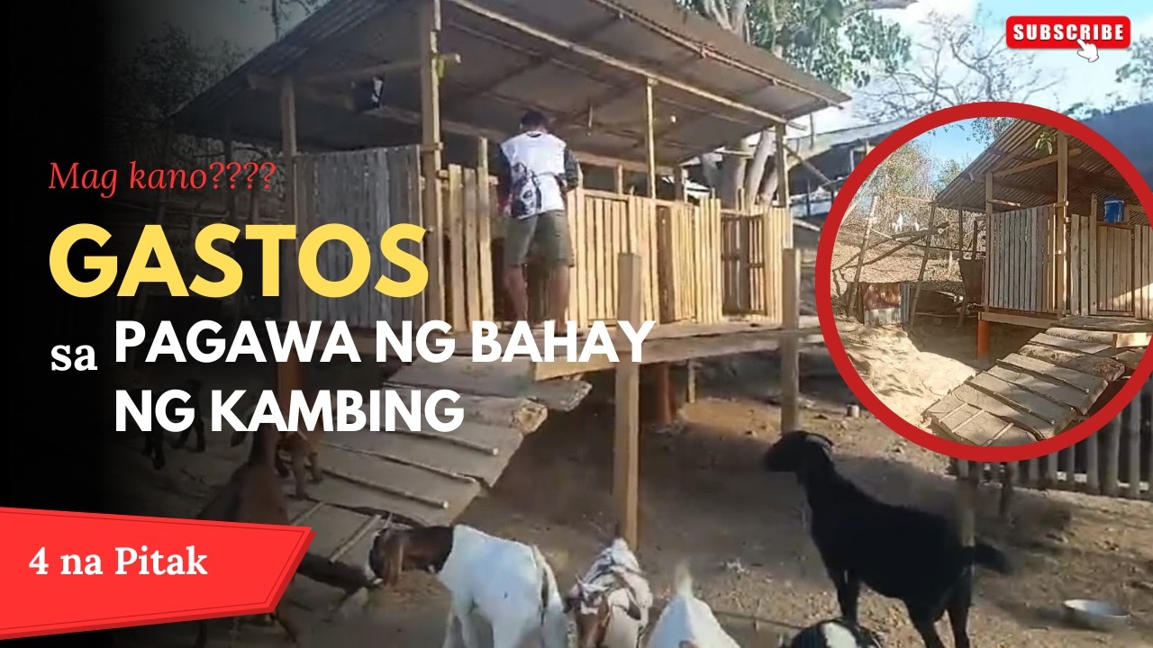 Magkano ang gastos sa pag papa gawa ng bahay ng kambing 