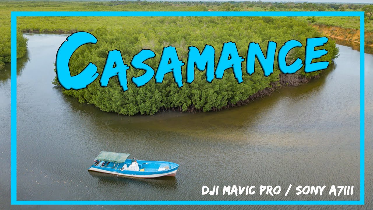 La Casamance, poumon vert du Sénégal / Reportage / 4K