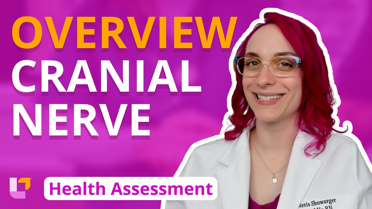 Cranial Nerve Overview - Health Assessment for Nursing Students | @LevelUpRN