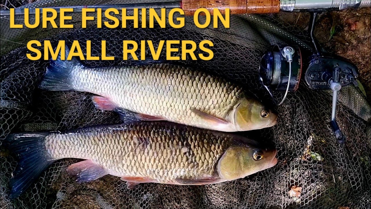 Lure Fishing Small Rivers - Perch, Chub and Pike.