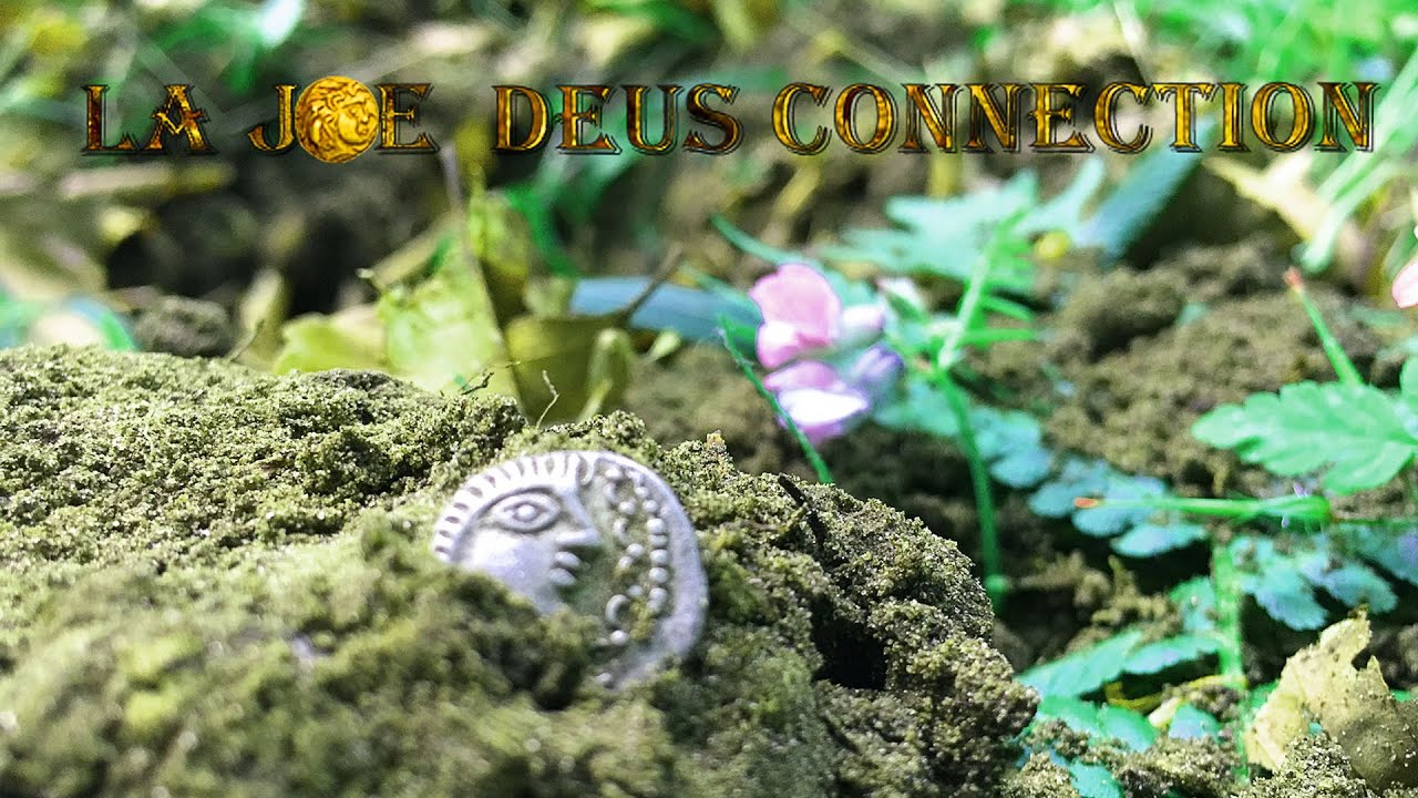 Sortie détection VERO ds 