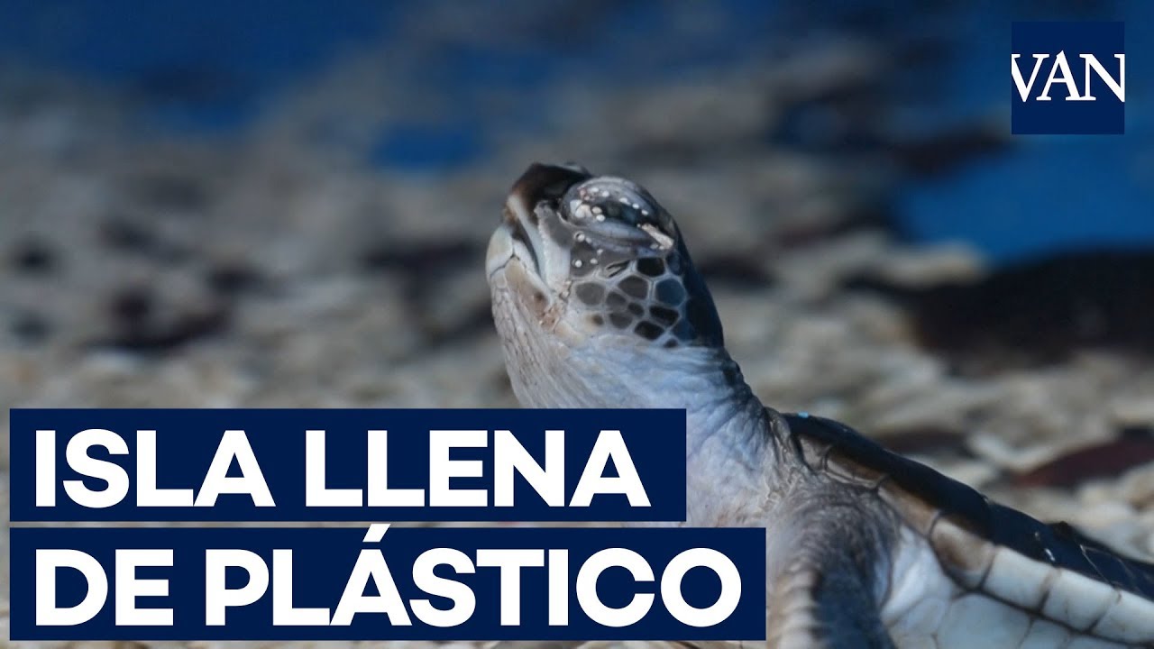 El Océano Pacífico sufre por la contaminación de plástico