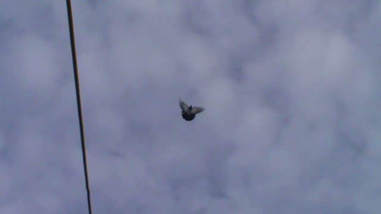 Подводим итог вчерашнего дня.