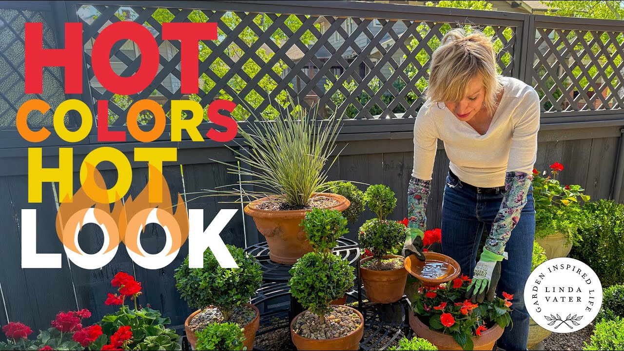 Use Red hot Colors In Your Backyard Garden