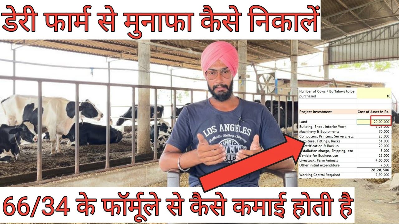 How to make dairy business profitable | डेरी फ़ार्म से मुनाफ़ा कैसे कमायें | Veer dairy farm|