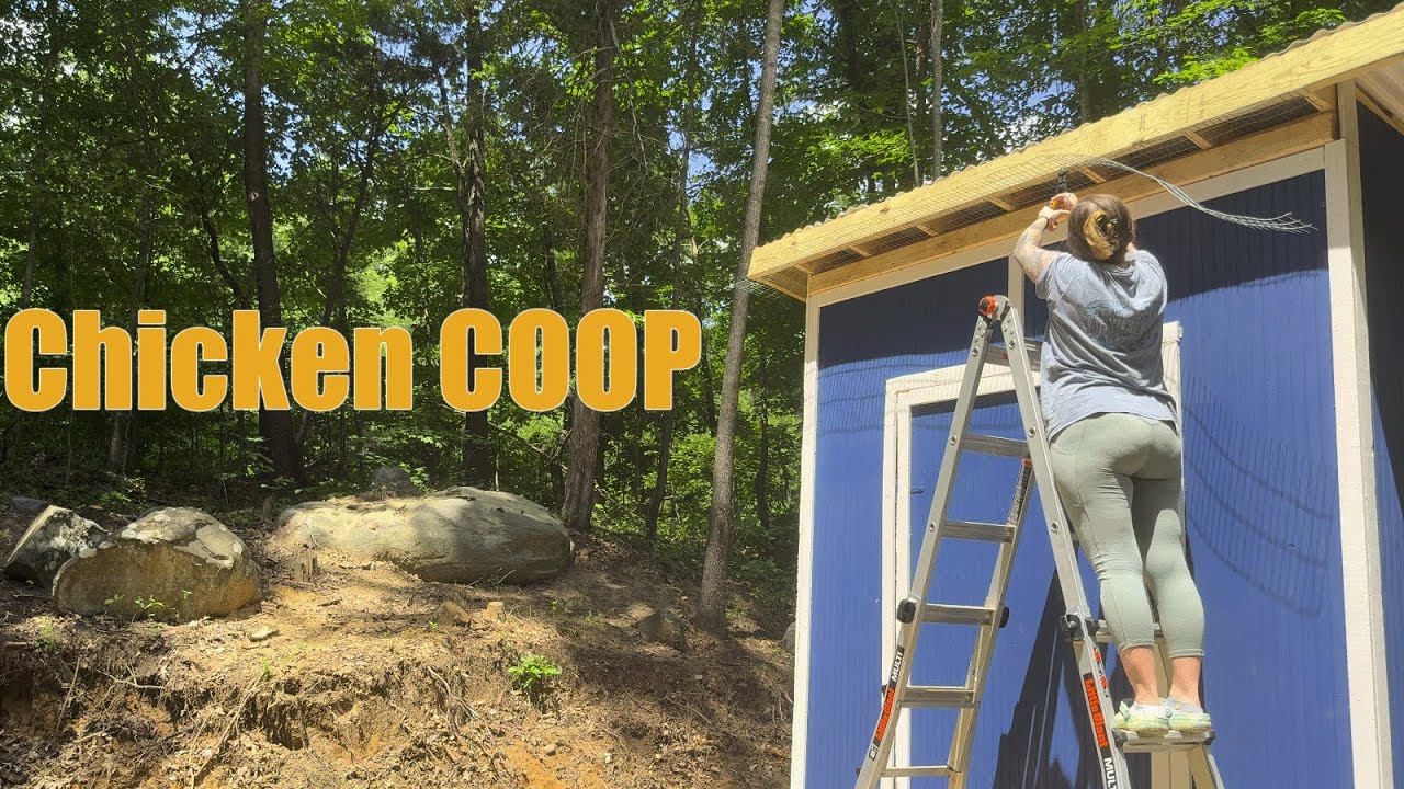 DIY Chicken Coop FINISHED! Window, Roosting Bar & Trim — You Gotta See This Glow-Up!