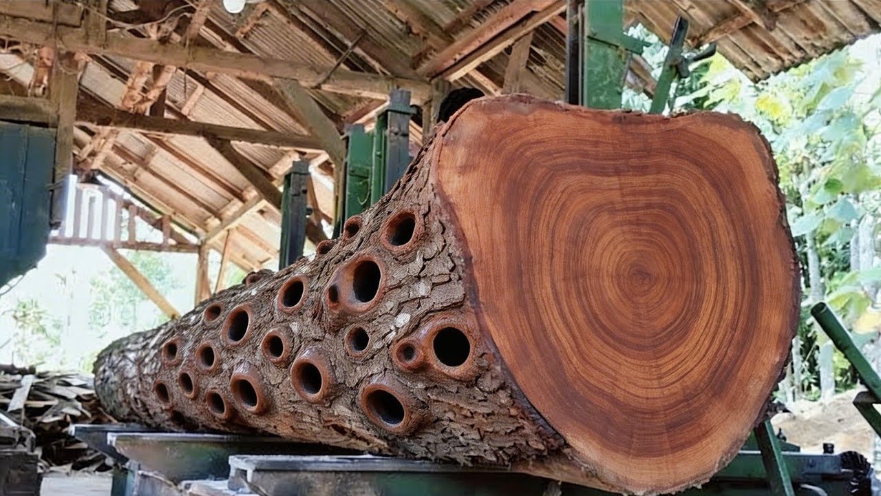 Only experienced people should do this: Processing large mahogany wood