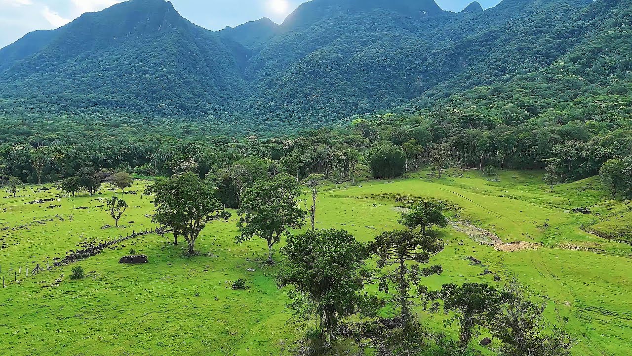 Pico do Jurapê em Joinville | Imagens Aéreas Incríveis com Drone | 4K