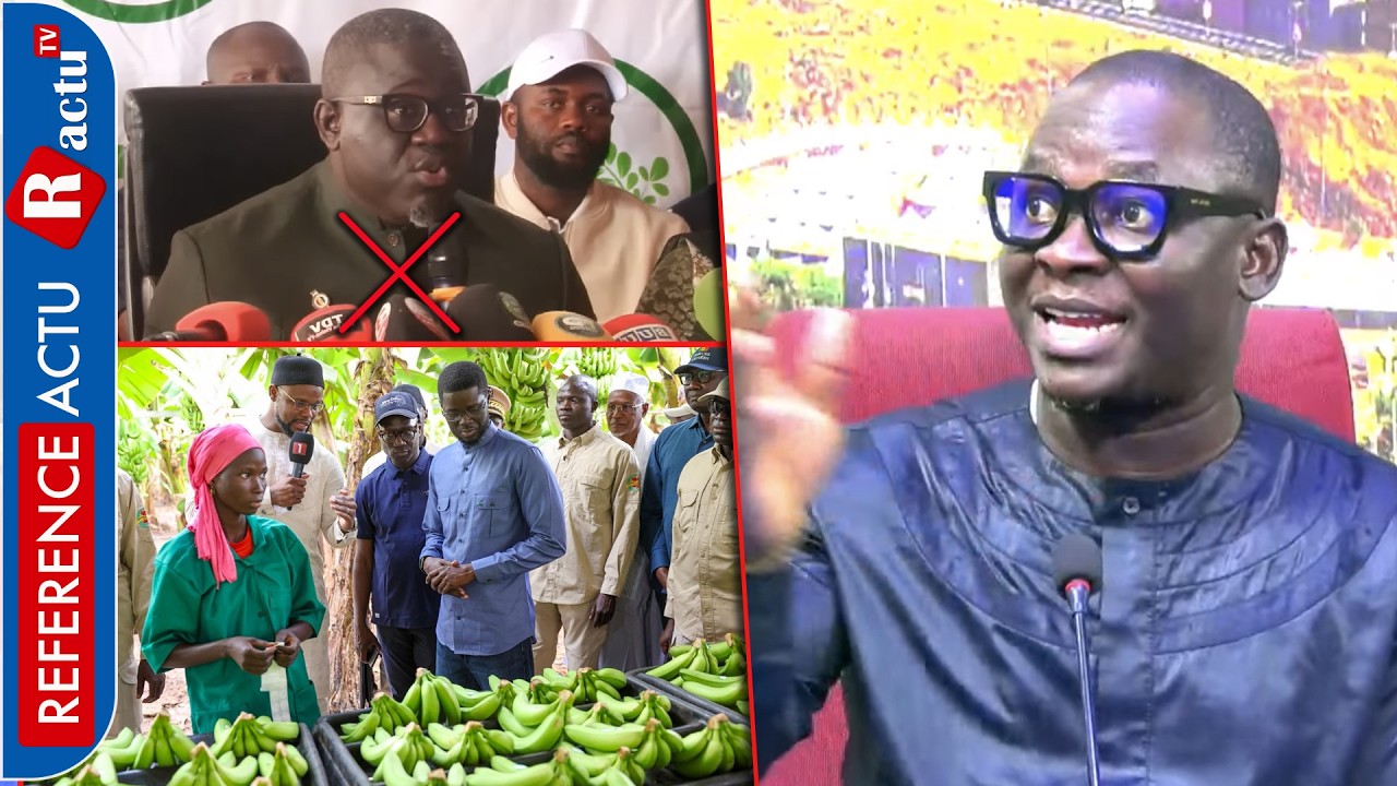 Urgent 🚨 Cheikh Kande hausse le ton & Démolit Tahirou Sarr 