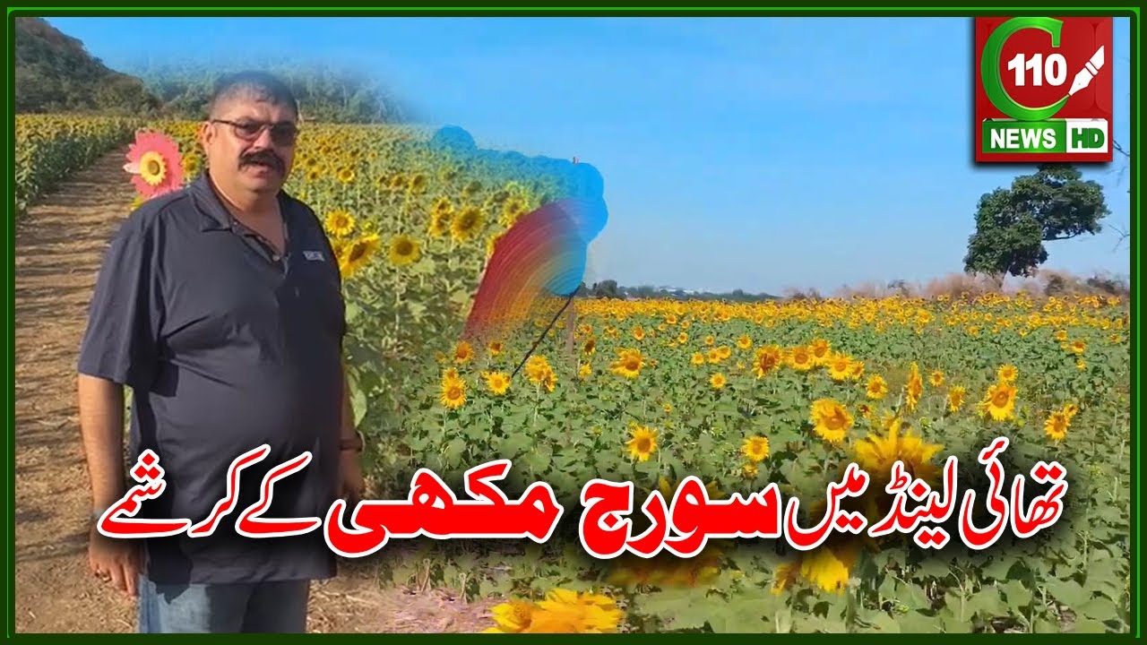 THAILAND: SOORAJ MUKHI KAY KARISHME | C110NEWS HD | REPORTED BY SAMEER QURESHI