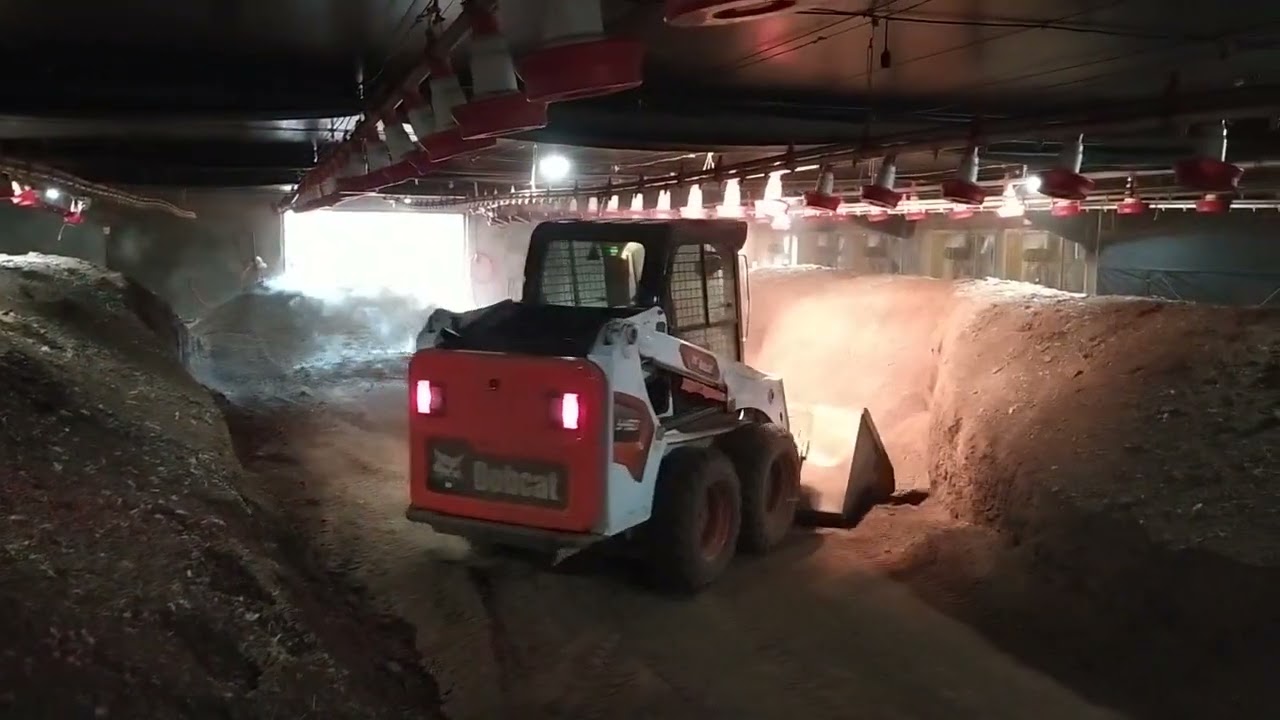 Bob cat s450 carregando na dala. baixinho na boleia.