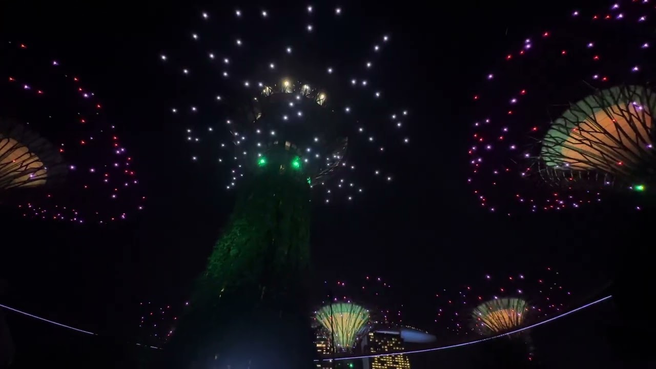 Supertree Observatory Light show at Singapore , 26Aug23