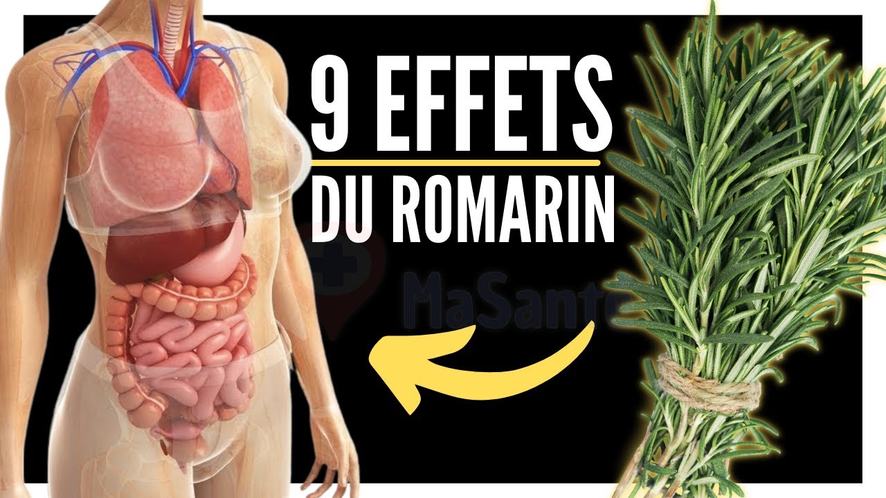 🔴  9 B&eacute;n&eacute;fices surprenants du ROMARIN [Recette de Tisane Sp&eacute;ciale]