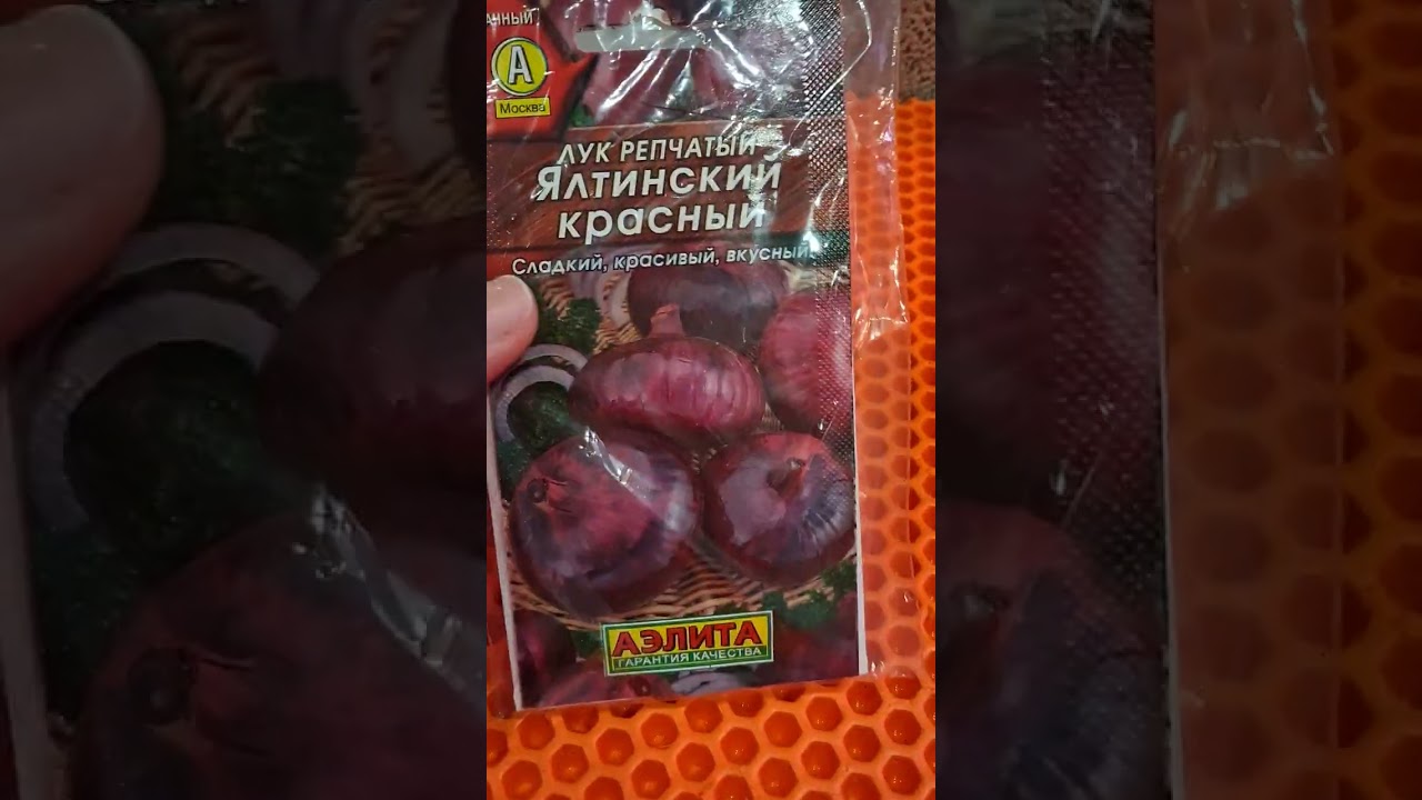 12 февраля 2026 года