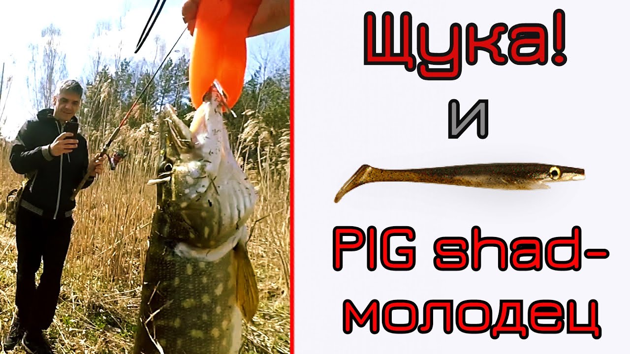 Щука, Pig Shad и 2 летающих L-Minnow 66.