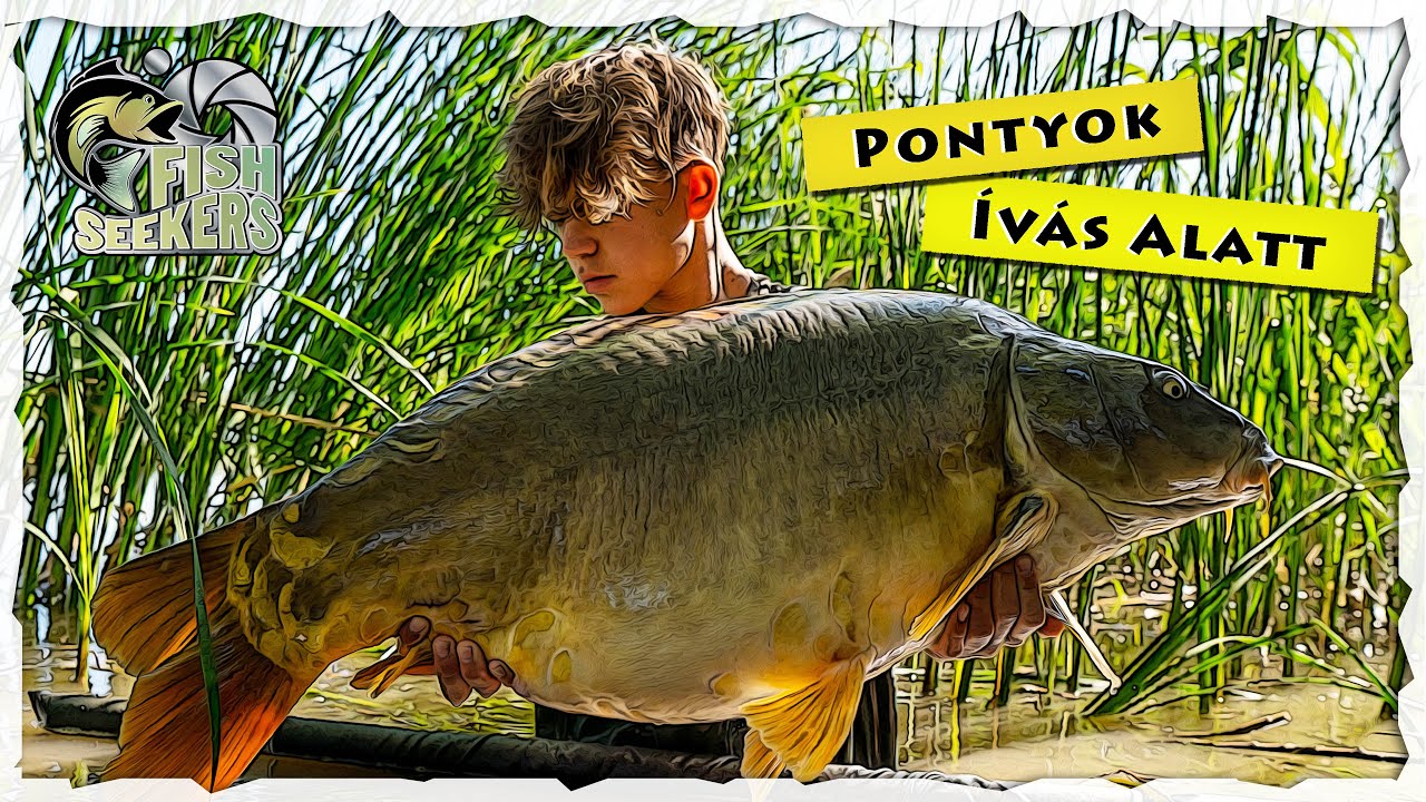 PONTYOZÁS ívás alatt - Don Carp Lake - 10/11. hely