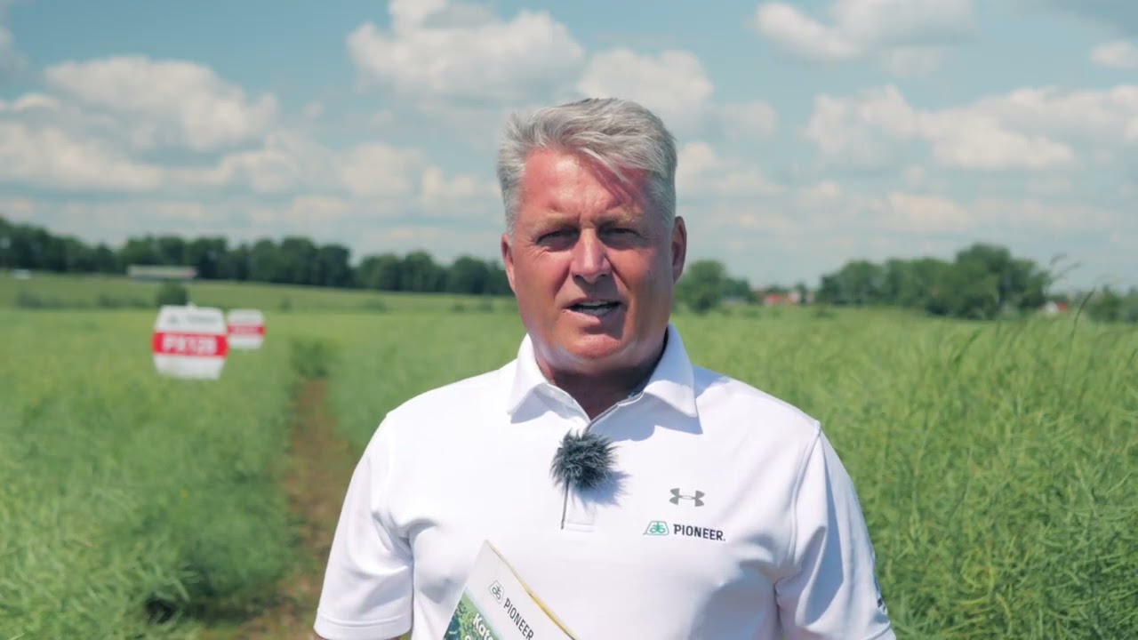 Demo Farma Grodkowice  omówienie odmian półkarłowych rzepaku ozimego marki Pioneer