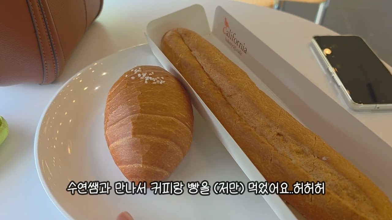 [10월의 부이로그 추가영상] 다이어트 한다면서 요리하는 일상/ 친구와 야외에서 점심먹기/ 베지래빗 장보러 가기/ 나의 비밀 사무실 공개?/ 프렌치불독 노견 일상?