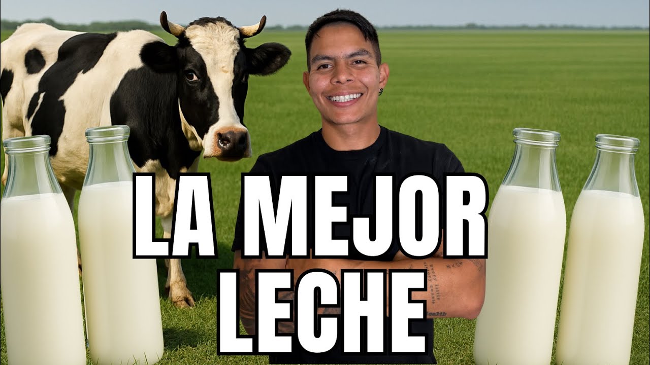 La Leche MÁS SALUDABLE en Estados Unidos (Te sorprenderá)