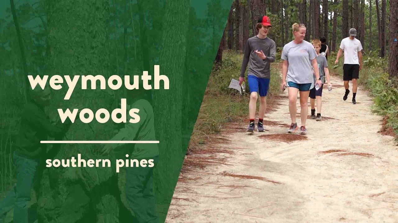 Explore Weymouth Woods | NC Weekend