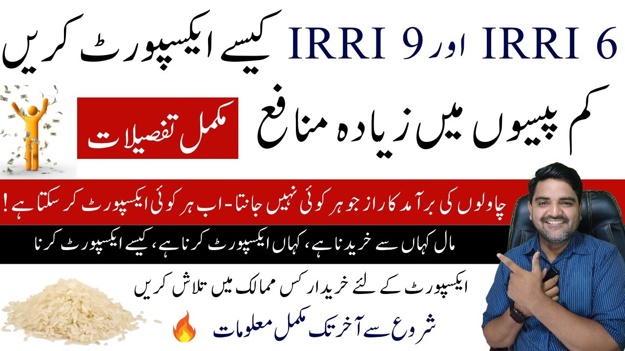 How to export IRRI 6 and IRRI 9 rice from Pakistan: Step-by-Step Process | Documentation | Customs
