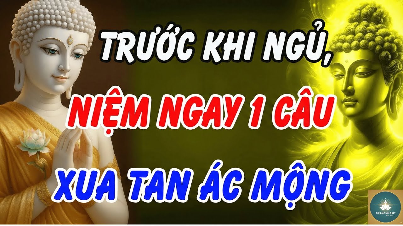 Mỗi Tối Trước Khi Ngủ, Hãy Nhớ Niệm 1 Câu Này: Phật A Di Đà Gia Hộ [TUỆ GIÁC MỖI NGÀY