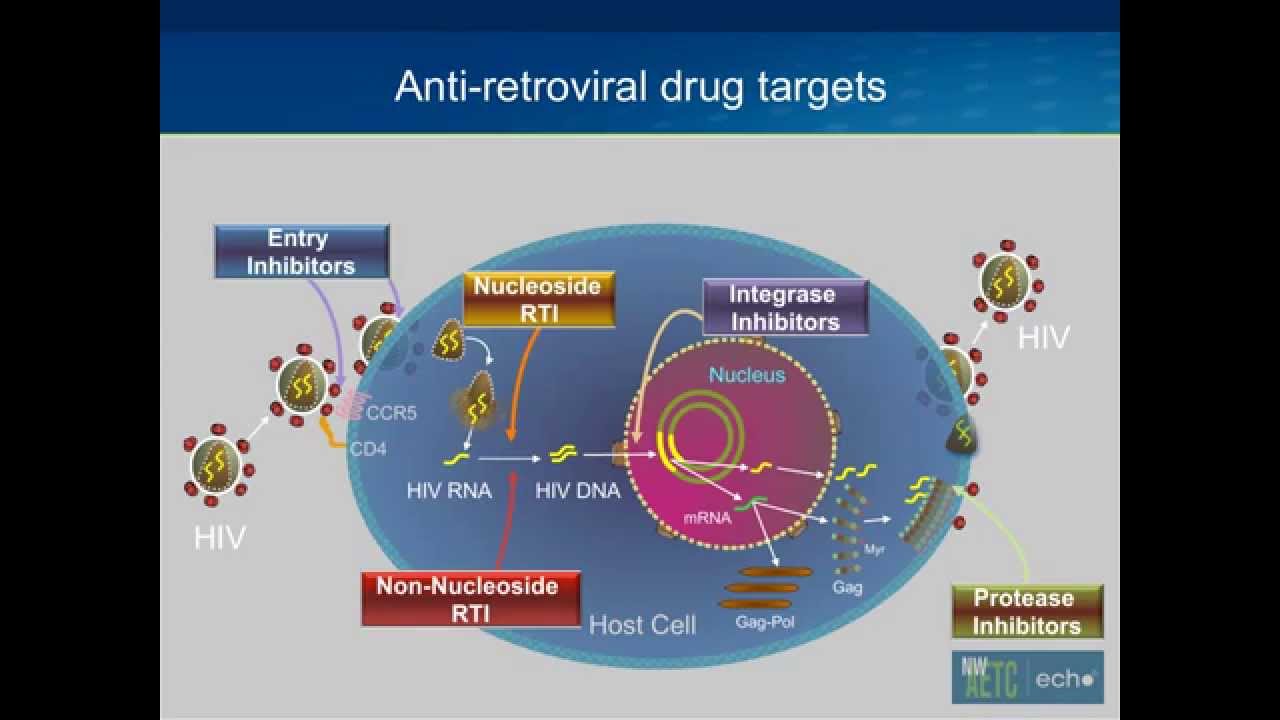Initial Antiretroviral Therapy