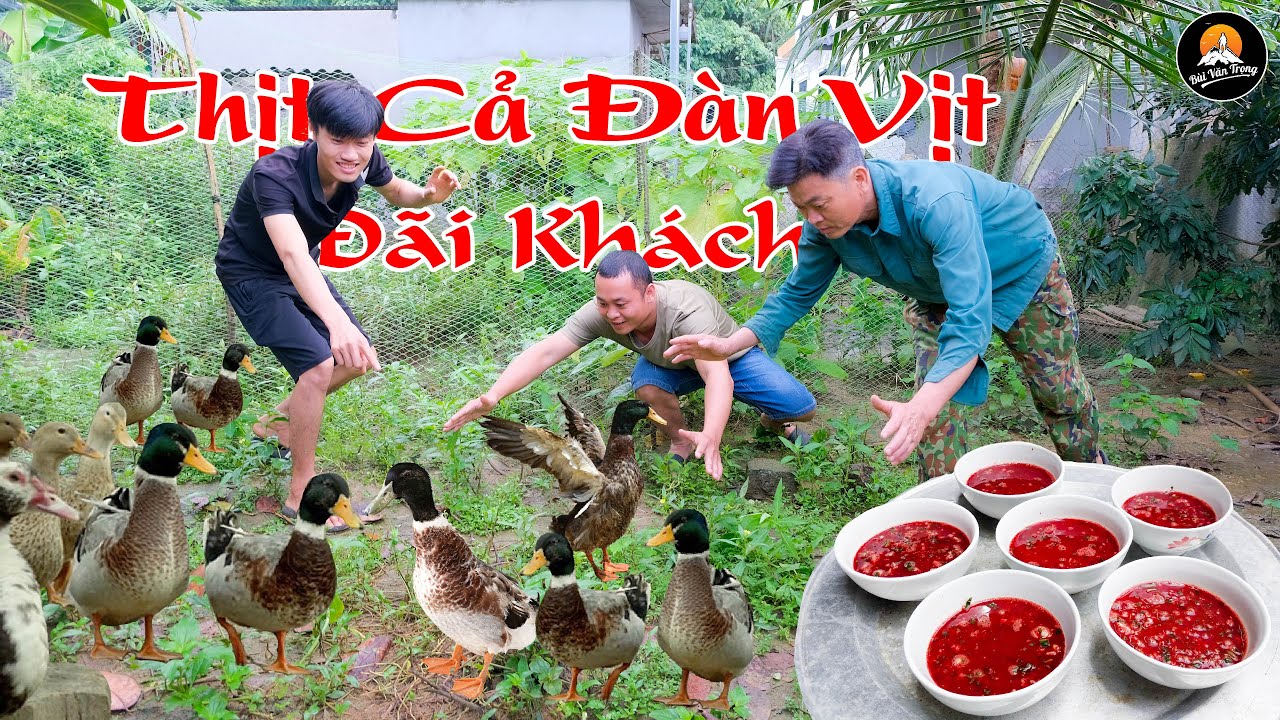 THỊ.T CẢ ĐÀN VỊT LÀM MÂM TI.ẾT CANH ĐÃI KHÁCH ĐẾN CHƠI - Bùi Văn Trọng