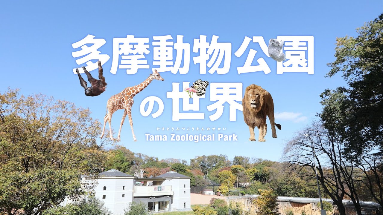 『多摩動物公園の世界』トレーラー・本編 ver.