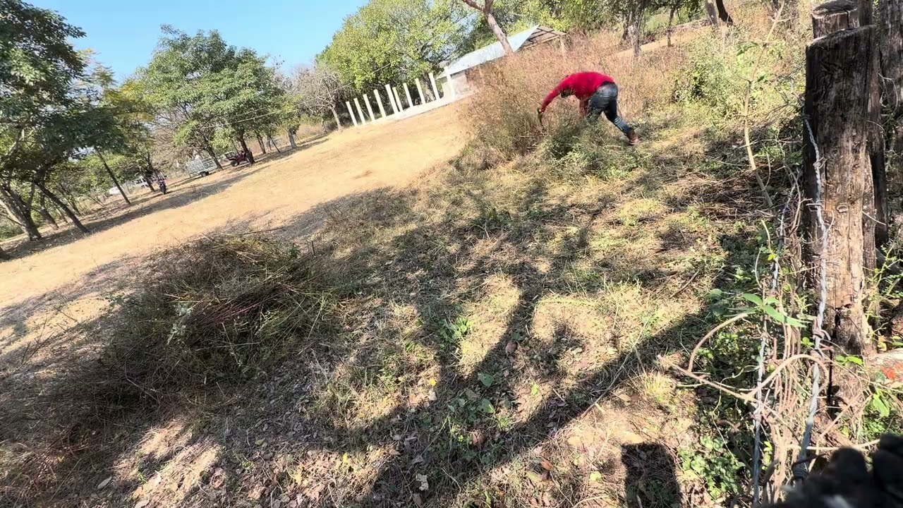 Limpiando área verde⚔️🔥