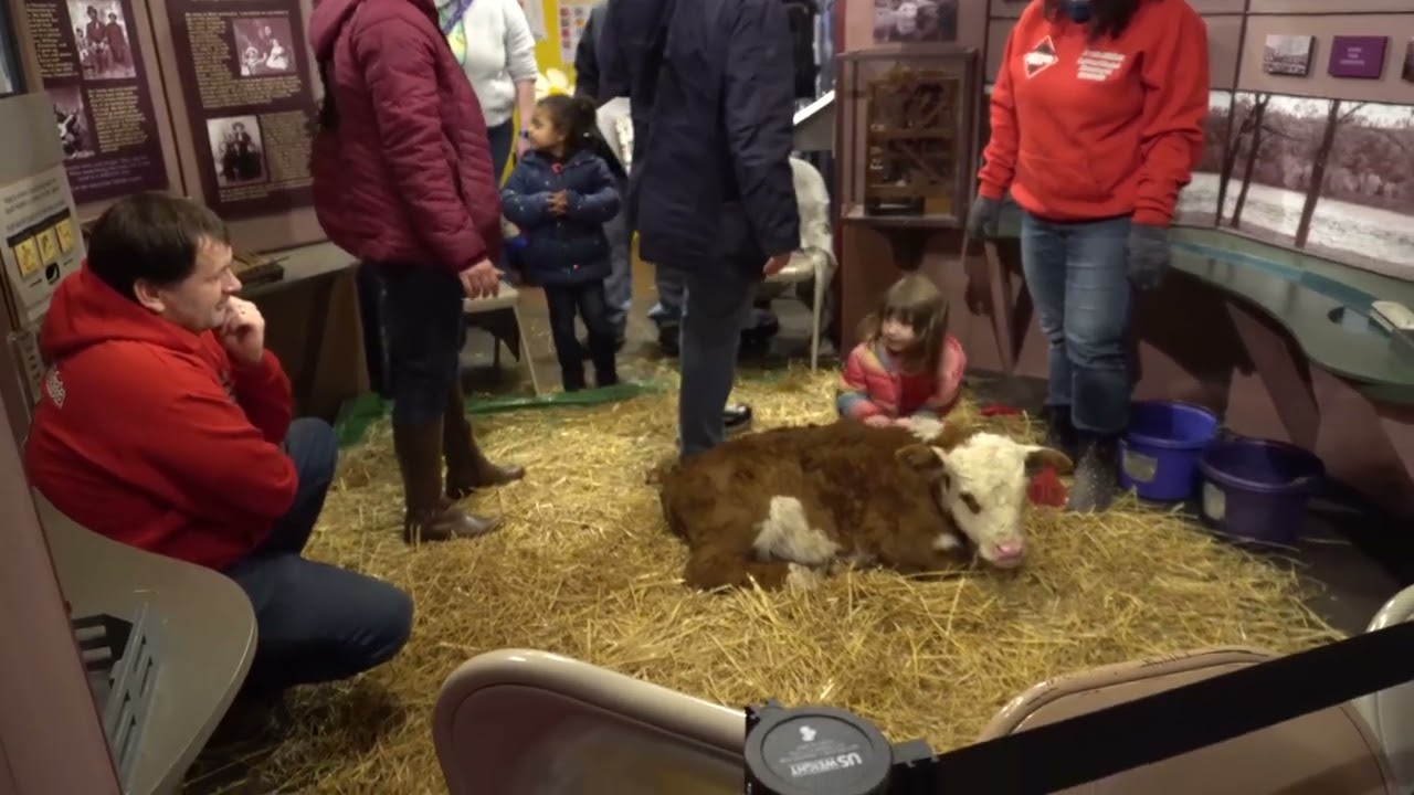 Bloomsburg Childrens Museum Zoo to you 2022