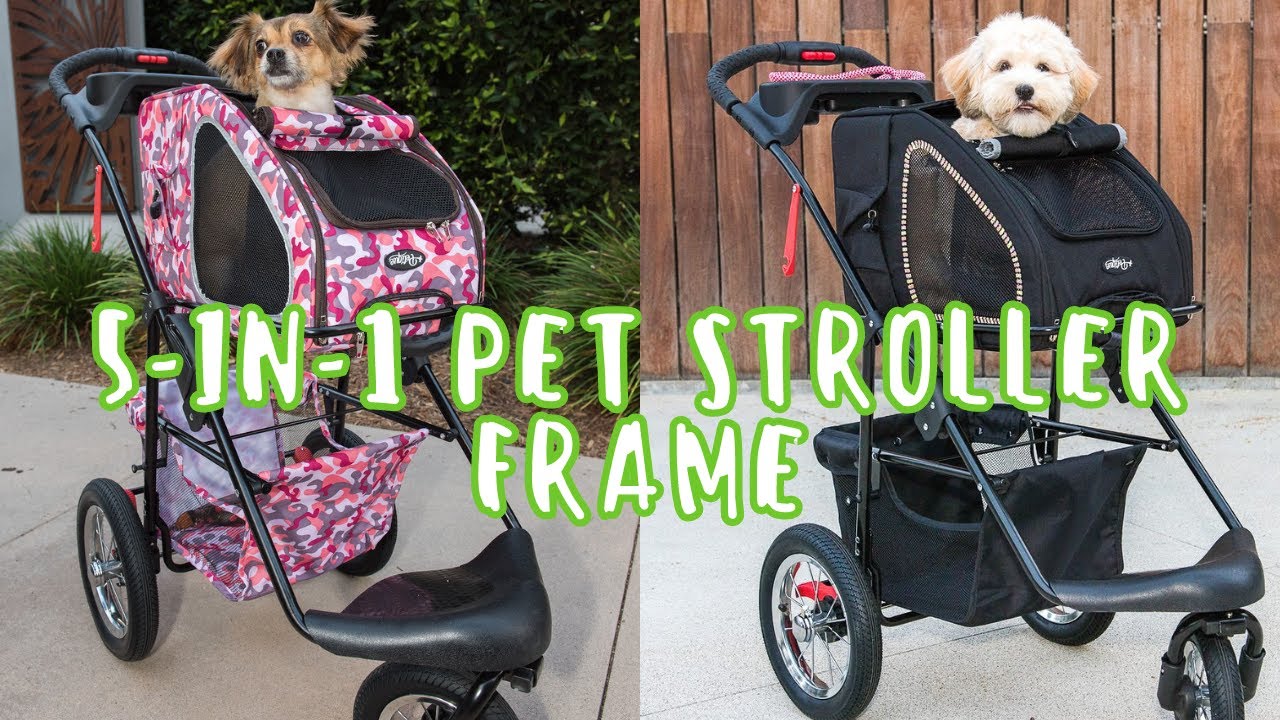 The ULTIMATE Travel System for Pets | Petique's 5-in-1 Pet Stroller FRAME