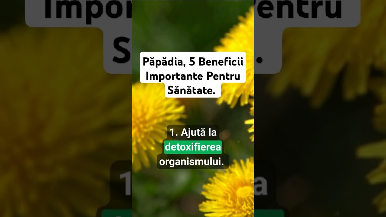 Păpădie, 5 Beneficii Importante Pentru Sănătate. #sanatate #alimentatie #viatasanatoasa #papadie